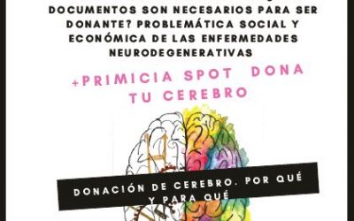 Donar cerebro: ¿Por qué y para qué?