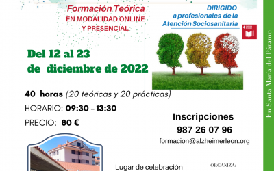Formación dirigida a Profesionales del sector sociosanitario en atención a enfermos de Alzheimer y otras demencias.
