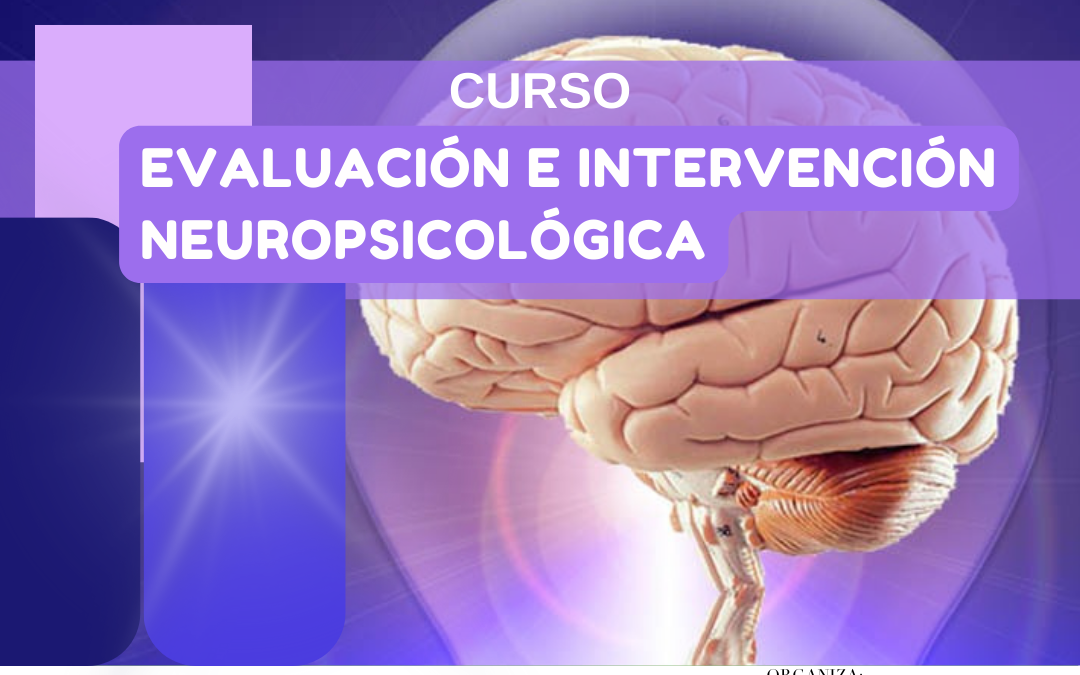 Curso de «Evaluación e intervención neuropsicológica» para profesionales en mayo de 2023