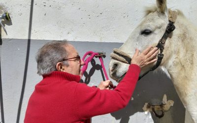 Equinoterapia: estimular los sentidos y las emociones